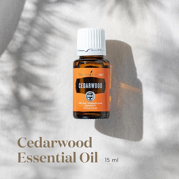 Young Living Cedarwood Essential Oil | 15 ml | Warm Woodsy Aroma - Image 2