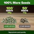 HOME GROWN Organic Cascadia Snap Pea Seeds 100+ Heirloom Non-GMO Seeds - Image 4