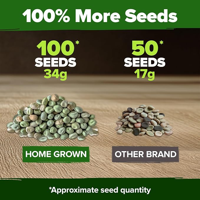 HOME GROWN Organic Cascadia Snap Pea Seeds 100+ Heirloom Non-GMO Seeds - Image 4
