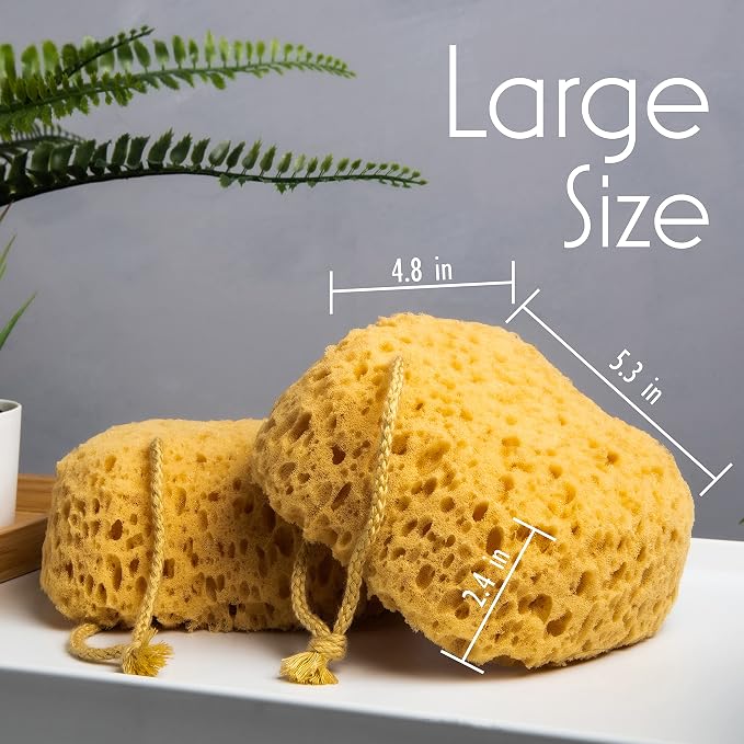 myHomeBody Bath Sponge, Foam Loofah, Body Scrubber - Image 2