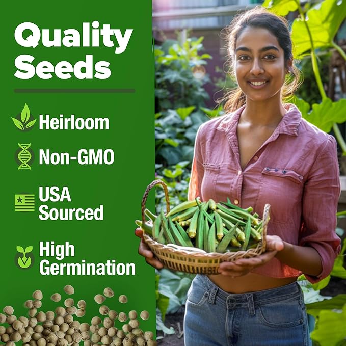 HOME GROWN Clemson Spineless Okra Seeds 101+ Heirloom Non-GMO Vegetable Seeds - Image 3