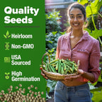 HOME GROWN Clemson Spineless Okra Seeds 202+ Heirloom Non-GMO Seeds - Image 3
