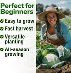 HOME GROWN Cabbage Seeds 7 Variety Mix 2000+ Heirloom Non-GMO, High Germination - Image 5