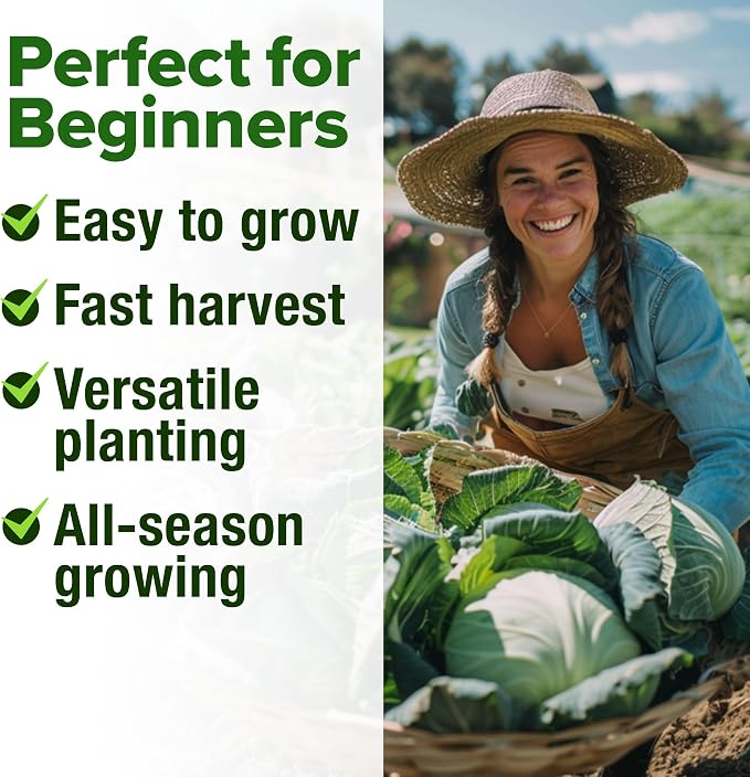 HOME GROWN Cabbage Seeds 7 Variety Mix 2000+ Heirloom Non-GMO, High Germination - Image 5