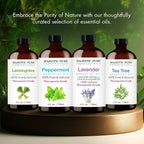 Majestic Pure Tea Tree Essential Oil - Image 5