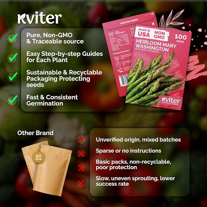 KVITER 100 Mary Washington Asparagus Seeds – Heirloom Non GMO Asparagas Seed - Image 4