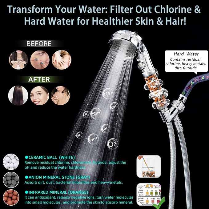 Filtered Shower Head with Handheld - Image 2