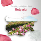 HBNO California Bottled Organic Rose Water - Image 3