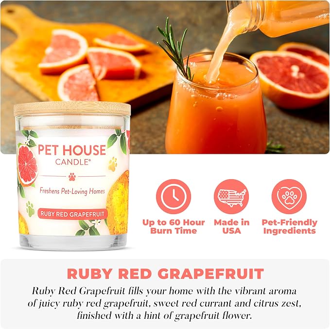 Pet House Candles, Clean Burning, Long Lasting Candles - Image 2