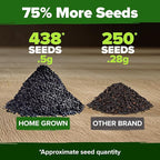 HOME GROWN Thai Basil Seeds Pack - Image 3
