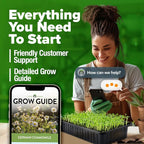 HOME GROWN German Chamomile Seed Pack 2, 280 Non GMO Heirloom Seeds - Image 9