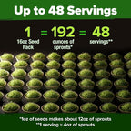 HOME GROWN Premium Sprouting Seeds Mix - Image 4