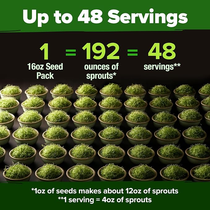HOME GROWN Premium Sprouting Seeds Mix - Image 4