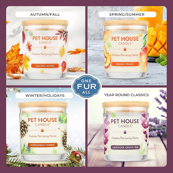 One Fur All Pet Candle 9 OZ Plant-Based Spring Candle - Image 4
