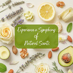 Green Canyon Spa Hand Lotion 20 Pack Mini Lotion Hand Lotion Travel Size Creams - Image 6