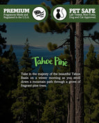 Shortie's Candle Company Tahoe Pine Premium Tealight Candles - Image 5