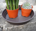 Plant Saucer 8 Inch 4 Pack 6 8 10 12 14 16 18 20 25, Plastic Plant Trays - Image 5