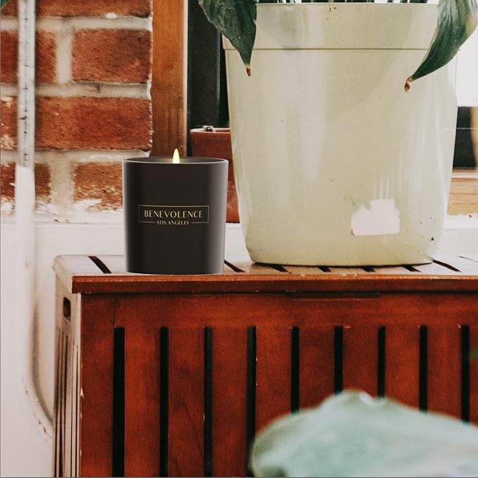 Benevolence LA Pine Scented Candle | Soy Christmas Candles, 45 Hour Burn - Image 7