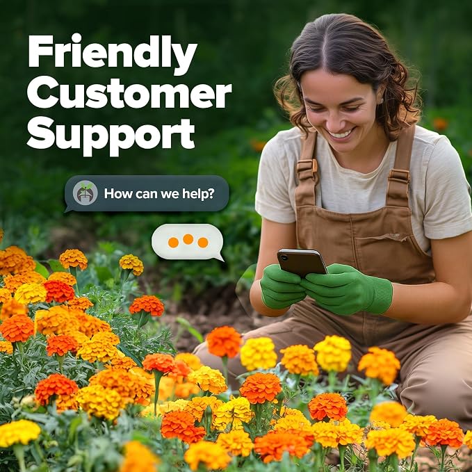 HOME GROWN Petite French Marigold Seeds 658 Flower Seeds - Image 8