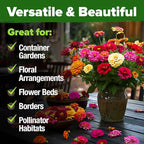 HOME GROWN Zinnia Seeds for 2026 - Image 7
