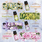 Floral Essential Oils Set, ARVIDSSON Natural Flower Essential Oil - Image 5