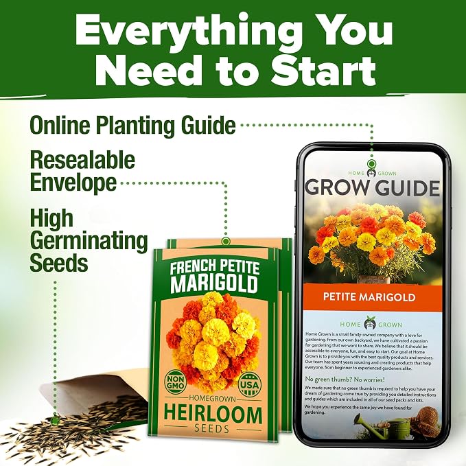 HOME GROWN Petite French Marigold Seeds 658 Flower Seeds - Image 7