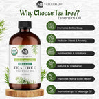 NaturoBliss Organic Tea Tree Essential Oil, 100% Pure Therapeutic Grade - Image 2