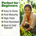 HOME GROWN Banana Pepper Seeds 94+ Heirloom Non GMO Seeds - Image 4