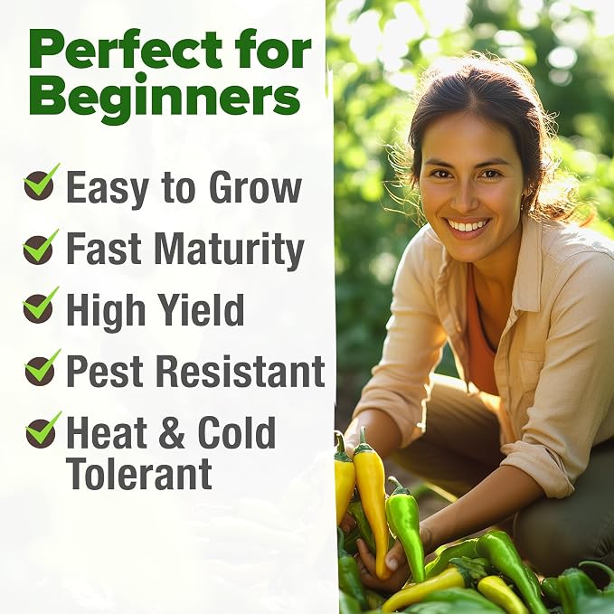 HOME GROWN Banana Pepper Seeds 94+ Heirloom Non GMO Seeds - Image 4