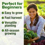 HOME GROWN Lettuce Seeds 5 Variety Mix 3950+ Bulk Pack Heirloom Non-GMO - Image 4