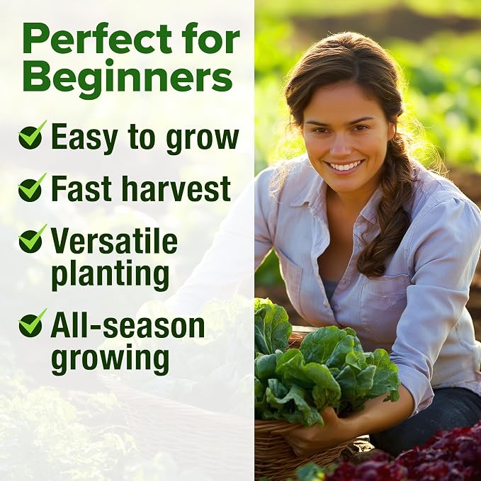 HOME GROWN Lettuce Seeds 5 Variety Mix 3950+ Bulk Pack Heirloom Non-GMO - Image 4