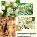 Xcleen Reed Diffuser Set- Jasmine & Lily Scented Diffuser - Image 4
