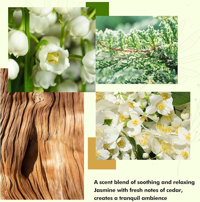 Xcleen Reed Diffuser Set- Jasmine & Lily Scented Diffuser - Image 4