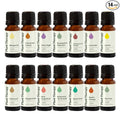 Plant Therapy Top 14 Essential Oil Set, 10 mL Bottles of Lavender, Eucalyptus by PlantTherapy
