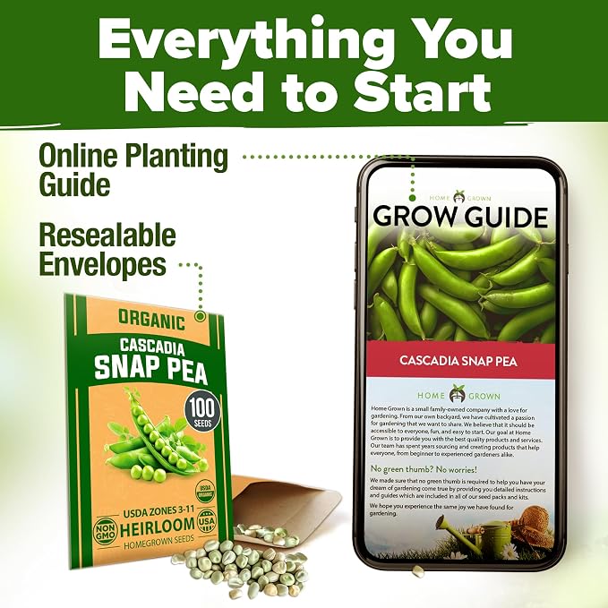 HOME GROWN Organic Cascadia Snap Pea Seeds 100+ Heirloom Non-GMO Seeds - Image 9
