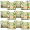 Greenwich Bay Mini Botanical Soap Bars – 12 Pack 1.9 oz Each – Individually by Greenwich+Bay+Trading+Company