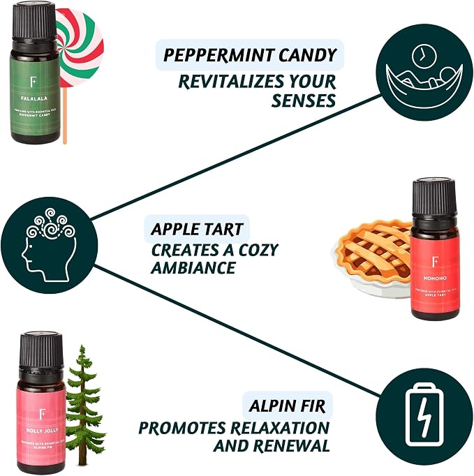 Folkulture Essential Oils Set for Diffuser | Set of 6 Cozy Aromatherapy Oils - Image 3