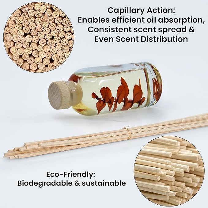 Urban Naturals Bay Rum & Sandalwood Reed Diffuser Scent Sticks Gift Set | - Image 5