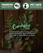 Eucalyptus Leaf Premium Tealight Candles - Image 5
