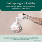 EcoTools Charcoal EcoPouf, Loofah Sponge - Image 7
