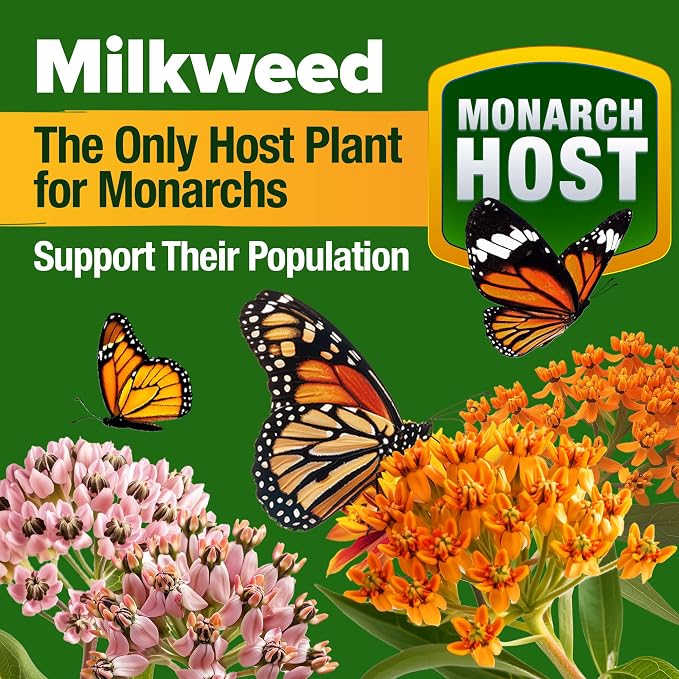 HOME GROWN Premium Monarch Butterfly Wildflower Seeds Mix - Image 3
