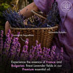 Majestic Pure Essential Oil - Image 3