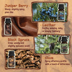 ARVIDSSON Woody Essential Oils Set, Wood Fragrance Oils Gift Set, 12 x 10ml - Image 5