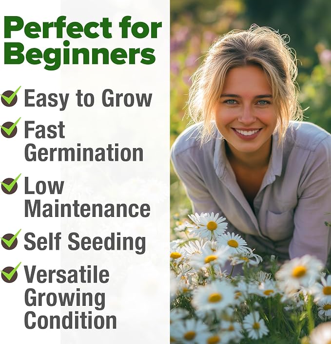 HOME GROWN German Chamomile Seed Pack – 4, 560 Heirloom Seeds - Image 4