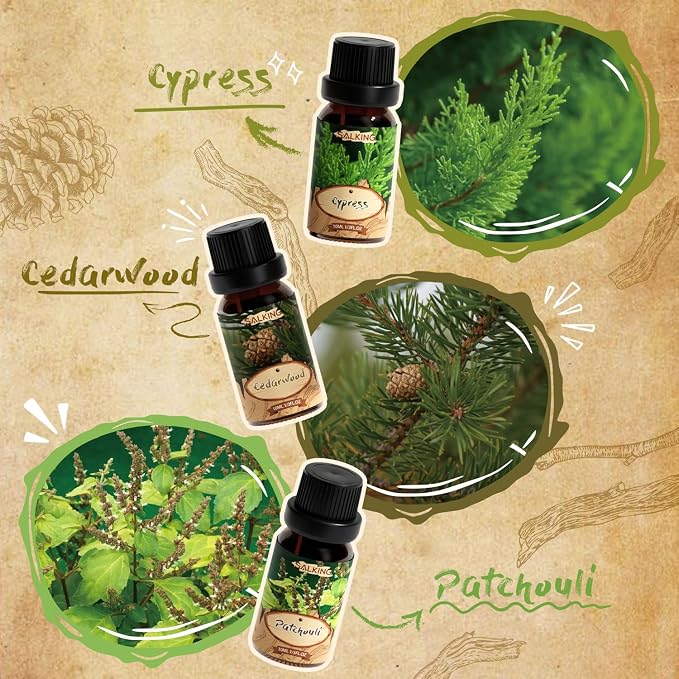 SALKING Woody Essential Oils Gift Set, Natural and Pure Aromatherapy Fragrance - Image 4