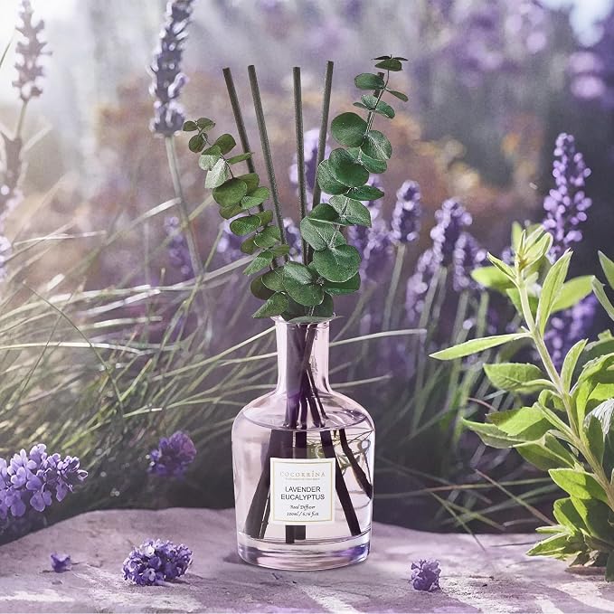 COCORRÍNA Lavender Eucalyptus Reed Diffuser – 6.76 oz Essential Oil - Image 3