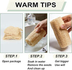 Organic Natural Loofah Sponges 4.7'' Luffa Spa - Image 7