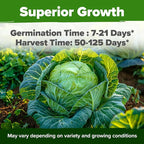 HOME GROWN Cabbage Seeds 7 Variety Mix 2000+ Heirloom Non-GMO, High Germination - Image 4