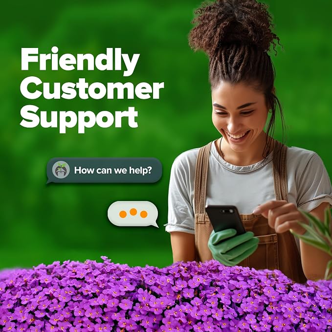 HOME GROWN Aubrieta Rock Cress Purple, Flowering Ground Cover Seed Pack - Image 7