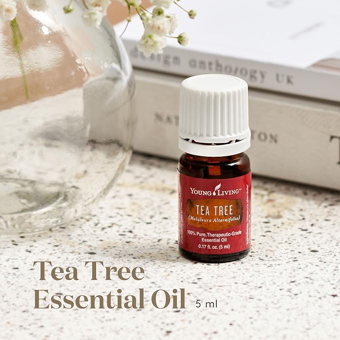 Tea Tree Essential 5ml Oil by Young Living Essential Oils - Image 2